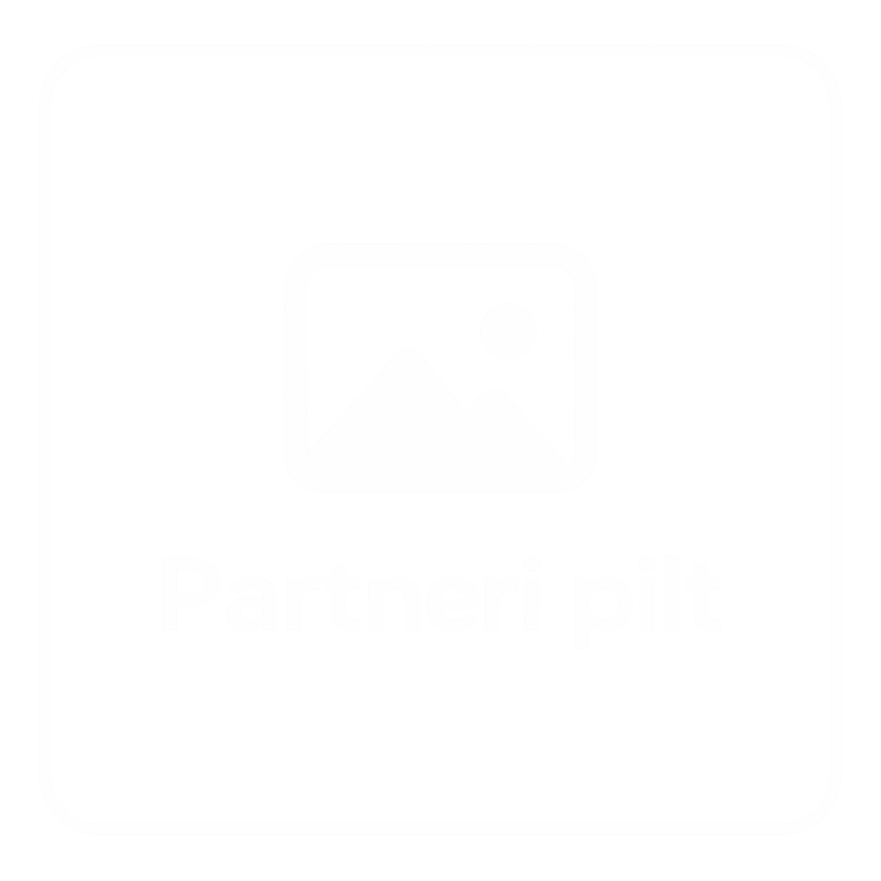 Partner 4